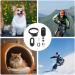 Dovxk Mini Hid Camera Cat Collar Pocket Camera Pet Tracker For Cats Portable Body Cameras With Audio And Video Cat Tracker Gps Collar For Small Cats Black - Buy Online on GoSupps.com