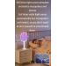 Electric Fly Swatter 3000V Bug Zapper Racket 2 in 1 Fly Swatter with 1200mAh Battery Rechargeable Mosquito Killer Lamp with 3 Layers Safety Mesh for Indoor and Outdoor - Buy Online on GoSupps.com