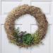 FloraCraft Spanish Moss 4oz (2L) - Natural Decorative Moss for Crafts - Buy Online on GoSupps.com