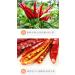 Dried chili pepper stir-fry seasoning crispy spicy snacks (100/200/500g) pepper red chili sauce side dishes and vegetables Chinese special dipping sauce Spicy snack ingredients (100g) 1 Count (Pack of 1) - Buy Online on GoSupps.com