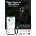 Reflective AirTag Cat Neck Band with Bell | Lightweight Tracker Collars for Kittens & Young Cats - Black - Buy Online on GoSupps.com