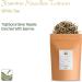 Moli Yinzhen White Tea Jasmine Needles Taiwan 30g - Premium Jasmine Silver Needle White Tea - Buy Online on GoSupps.com