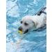 Tongktai Squeaky Dog Balls - 4 Pack Latex Fetch Toys for Medium & Small Pets | Soft & Bouncy 2.7'' Interactive Play - Buy Online on GoSupps.com