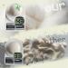 Buy 100% Natural Wool Dryer Balls | Reusable Eco-Friendly Laundry Solution - 6 Pack | International Shipping Available - Buy Online on GoSupps.com