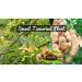 SR Spices Sweet Tamarind Box Thailand Mithi Imli Big Size A Grade Quality 250g Small - Buy Online on GoSupps.com