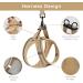 Shop Bella & Pal Dog Harness for Small Dogs - Breathable Air Mesh Anti-Train Reflective Leash Included | XS Khaki - Buy Online on GoSupps.com