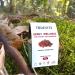 DRIED ORGANIC WILD CRANBERRIES 100gr no sugar added Berry Wellness TRUEVITS - Buy Online on GoSupps.com