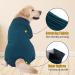 Axcimond Dog Surgery Recovery Suit - Spay Suit for Medium Large Dogs - Male Female Pet Shirt Alternative - Blue - Buy Online on GoSupps.com