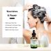 Rosemary Oil for Hair Growth | Reduce Hair Loss & Stimulate Growth | Essential Natural Care Oil - Buy Online on GoSupps.com