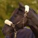 Lambskin Nasal Belt for Horses | Christ Nose Protection & Bridle Accessory - Available in Beige Brown Gray & Black - Buy Online on GoSupps.com