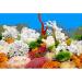 ELEBOX 20x48 Fish Tank Background - 2 Sided River Bed & Lake Aquarium Decor - H 19.5 x L 48 - Premium Quality - Buy Online on GoSupps.com