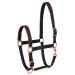 Start neoprene halter for horses thoroughbred bangs - stable halter with a two -stage adjustment - chin and neck piece - pasture horse halter warmth halter warm blood neoprene -fed (black/rose gold pony) bangs black/gold
