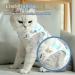 Clrybo Katzenbody for Cats | Post-Op Surgical Recovery Shirt | Dinosaur Style | International Shipping - Buy Online on GoSupps.com