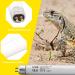 DERNORD T5 UVB Fluorescent Tube - 10.0 24W UV Tube Light Bulb 24 Inch Reptile Heat Lamp Tube Light for Tortoise Bearded Dragons Vivarium Lighting 24W 10.0 - Buy Online on GoSupps.com