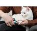 Trixie 8 cm Claw Scissors - Precision Pet Grooming Tool - Buy Online on GoSupps.com