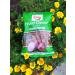 Taste of Spice Fried Onions 14oz (Pack of 2) - Crispy Fried Shallots | Gluten Free, Organic, Vegan, Non-GMO - Buy Online on GoSupps.com