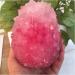 Natural Crystal Rough Crystal Cluster Rare and Beautiful Rose-Colored Quartz Crystal Cluster specimens Stones 900-1000g - Buy Online on GoSupps.com