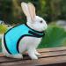 Adjustable Soft Rabbit Dishes & Mesh Harness - Outdoor Care for Small Pets (M Blue Pink) - Buy Online on GoSupps.com