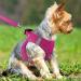 Joyal Reflective Soft Padded Dog Harness for Small Dogs | Air-Mesh Breast Dishes in Bright Pink | Perfect Fit for Puppies (S: 38-42cm) - Buy Online on GoSupps.com