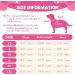 Skxeo Christmas Dog Sweater Costume - Warm Knitted Winter Sweater for Puppies & Cats - XS Pink - Perfect New Year Pet Clothing - Buy Online on GoSupps.com