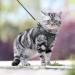 CatRomance Escape Proof Kitten Harness and Leash Set | S Size Black | Chest 10.5-11.5 | Weight 3.3-6.6 lbs - Buy Online on GoSupps.com