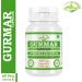 Gurmar Capsules | Gymnema Sylvestre (Gudmar) Herbal Supplement | 10:1 Concentrated Extract | Supports Healthy Lifestyle | Non-GMO & Vegan | 60 Veg Capsules (Pack of 2) 120 Count (Pack of 1) - Buy Online on GoSupps.com