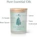 Buy Plant Therapy Northern Fir Candle - 8 oz Hand-Poured Coconut & Soy Wax Refreshing Forest Scent Frosted White Jar with Wooden Lid - International Shipping Available - Buy Online on GoSupps.com
