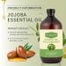 32 fl oz 100 Pure Jojoba Carrier Oil Unrefined Hexane Free Cold Pressed for Skin Face Hair Nails & Massage - Buy Online on GoSupps.com