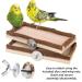 Buy Corner Seating Boards for Birds - 2-Set 10x20cm with Natural Wood Border | Ideal Cage Accessories for Budgies Canaries & Nymphensittich | Fastening Material Included - Buy Online on GoSupps.com