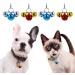 Molain 12 Bells Cat Dog Collar Charms - Colorful Jingle Bells for Pet Collar Accessories - 4 Sets for Festival Party DIY Decoration - Buy Online on GoSupps.com
