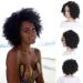 Black fluffy briefly curly wig with black women heat -resistant synthetic gigs to the African women women full wig to cosplay costume or everyday life
