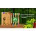 Bamboo Toothbrushes for Children - Eco-Friendly 5 Pack in Rainbow Colors | Soft BPA-Free Bristles | Biodegradable Natural Wood Toothbrushes - Buy Online on GoSupps.com