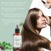 Rosemary Hair Spray Organic Rosemary Oil for Hair Growth Natural Rosemary Hair Oil Smooth & Soft Hair 100ml Rosemary Extract with Castor Seed Oil Prevents Hair Loss and Soothes Scalp - Buy Online on GoSupps.com