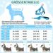 Eyein No-Pull Dog Harness with Leash | Soft Padded Adjustable & Reflective | Perfect for Puppies Small & Large Dogs Cats - Light Blue (Size S) - Buy Online on GoSupps.com