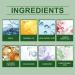 PCC PTYXIS Moisturizing Face Cream Skin Tight Cream for Face All Skin Moisturizing Texture Suitable for deep facial repair cream 1 50 g Lot de 1 - Buy Online on GoSupps.com