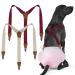 PET soft dog diaper trousers 2 pieces of dog trousers dog diaper harness braces for diapers women puppy braces belly tapes pet clothing (beige-wine L) Beige-Wine L