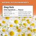Similasan Earache Relief Ear Drops 10 mL - Natural Pain Relief for Ear Infections - Buy Online on GoSupps.com