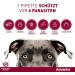 Elanco Advantix Spot-On for Very Small Dogs (Maltese Chihuahua) - Flea & Tick Protection 4 Pipettes Up to 4 Weeks Efficacy International Shipping Available - Buy Online on GoSupps.com