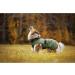 Rukka Pets STREAMY ECO Raincoat for Dogs - Dark Olive Green - Size 40 | Stylish & Sustainable Pet Gear | International Shipping Available - Buy Online on GoSupps.com
