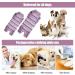 Jodsen Recovery Suit for Dog Dog Surgery Recovery Suit Purple Stripes Dog Surgical Onesie Suit Cone E-collar Alternative Dog Pajamas Ealstic Pet Anti-licking Surgery Suit for Medium Large Puppy (L) - Buy Online on GoSupps.com