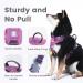 Pawaii Dog Harness for Large Dogs - Adjustable Breathable Anti-Drawing Design in Orchid Purple (XL: 81-96cm) - Buy Online on GoSupps.com