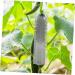OFFSCH 2pcs Melon and Fruit Shaping Mold Cucumber Growing Cucumber Forming Shape Cucumber Heart Shape Heart Shaped Cucumber Star Mold Cucumber Shaping Molds Rigid Plastic Gourd - Buy Online on GoSupps.com