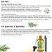 Organic Rosemary Oil for Hair & Skin Care - Pure Natural Essential Oil for Nourishing Scalp and Strengthening Hair (2.02 fl oz) - Buy Online on GoSupps.com