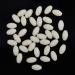 Orootl Glow Beads Fishing Saltwater - 100 Hard Plastic Light Beads | Green & White Oval EI Pearls Bait Fishing Tools - Buy Online on GoSupps.com