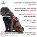 Service Dog Harness with Hook and Loop Straps, Handle | Reflective Patch, Mesh Design | Red, Small, XXS to XXL - Buy Online on GoSupps.com
