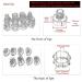 Elitzia Plastic Hydro Dermabrasion Microdermabrasion Heads 8pcs Set - Skin Cleaning Tool Beauty Machine Replacement Parts - Buy Online on GoSupps.com