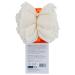 Organic Exfoliating Bath Pouf - Pack of 12 | CleanLogic Certified Organic - Buy Online on GoSupps.com