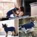 Buy Hjumarayan Dog Sweater - Soft & Warm Knitted Sweater for Small Dogs - Ideal for Yorkshire Jack Russell Chihuahua | Marineblau S - Buy Online on GoSupps.com
