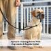 Barkless Dog Collar - No Pull Head Halter for Small & Extra Large Dogs | Padded Muzzle Harness with Training Guide - Prevents Pulling & Choking on Leash - Buy Online on GoSupps.com
