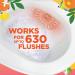 Duck Fresh Discs Toilet Cleaner Twin Pack Refills Sanitising & Descaling Toilet Bowl Gel Kills Germs and Bacteria Tropical Summer Pack of 5 x 72ml - Buy Online on GoSupps.com